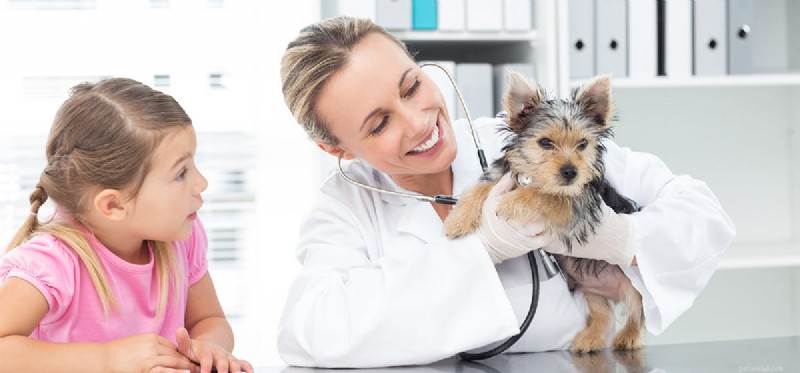 Do Dogs Retain Hearing After Total Ear Canal Ablation Surgery?