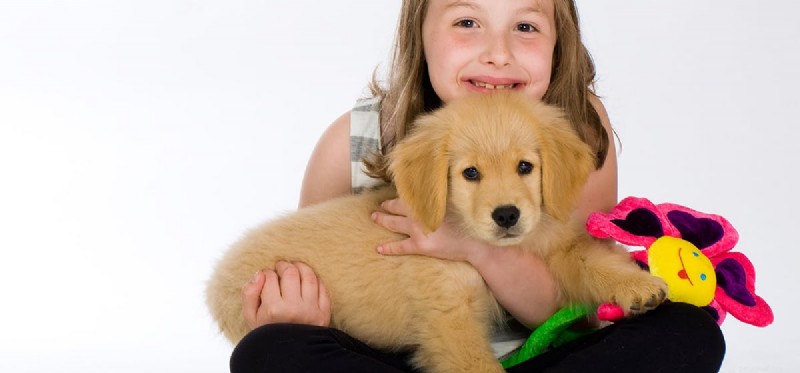 Can Dogs Hear Better Than Humans? Uncovering Their Superior Auditory Abilities