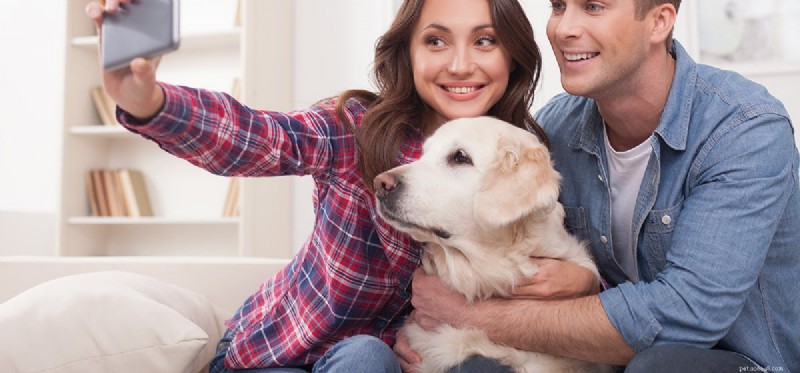 Can Dogs Hear FaceTime? Explore How Your Pet Listens to Your Calls
