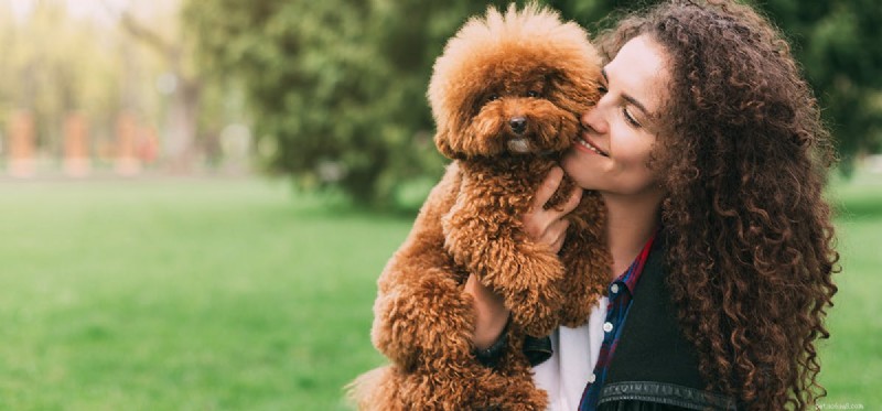 Dogs vs. Humans: Who Detects Low‑Frequency Sounds Better?