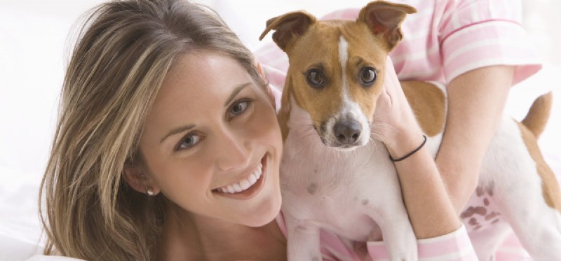 How Dog Hearing Compares to Human Hearing: Unveiling the True Limits