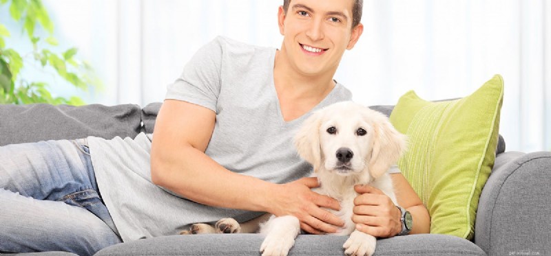 How Dog Hearing Compares to Human Hearing: Unveiling the True Limits