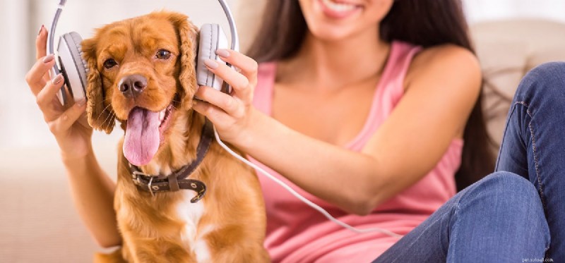 Do Dogs Truly Enjoy Music? Unlocking Their Hearing and Emotional Response