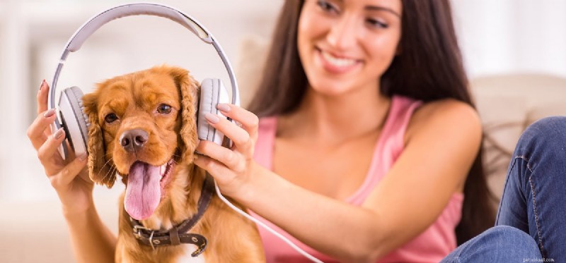 Can Dogs Hear Music Through Headphones? What the Science Says