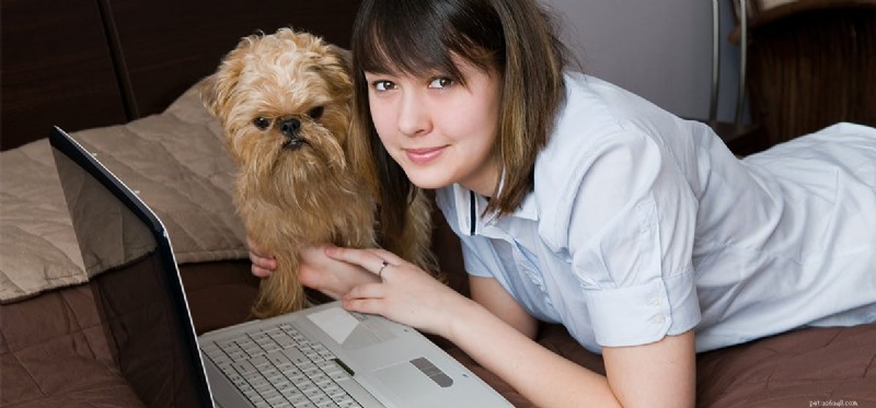 Can Your Dog Hear You on Skype? How Video Calls Work for Pets