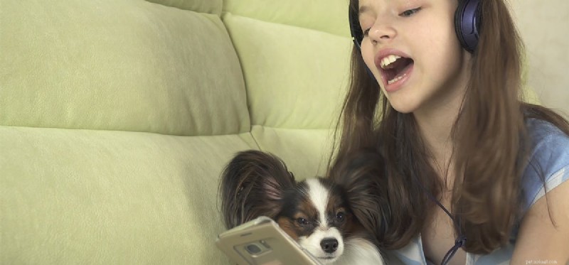 Do Dogs Hear and Respond to Human Singing?