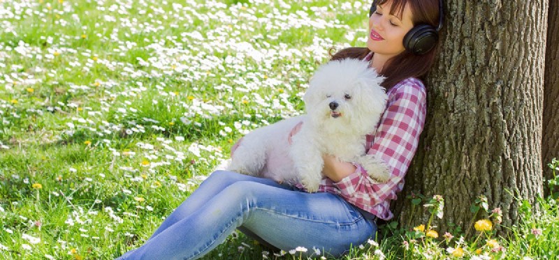 Do Dogs Experience Tinnitus? Understanding Hearing Discomfort in Canines