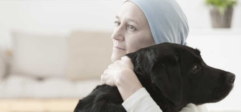 How Dogs Can Alleviate Depression: Proven Benefits & Tips