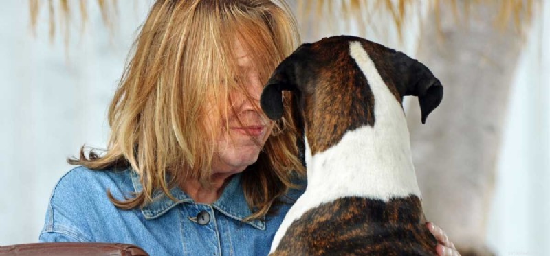How Dogs Can Alleviate Depression: Proven Benefits & Tips