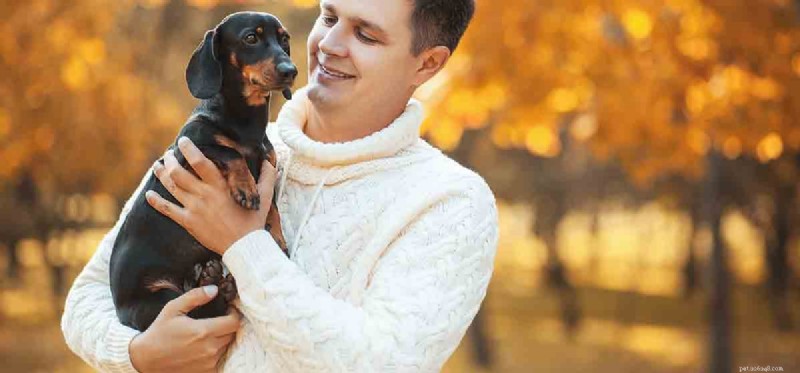 Can Dogs Relieve Migraines? Evidence-Based Insights