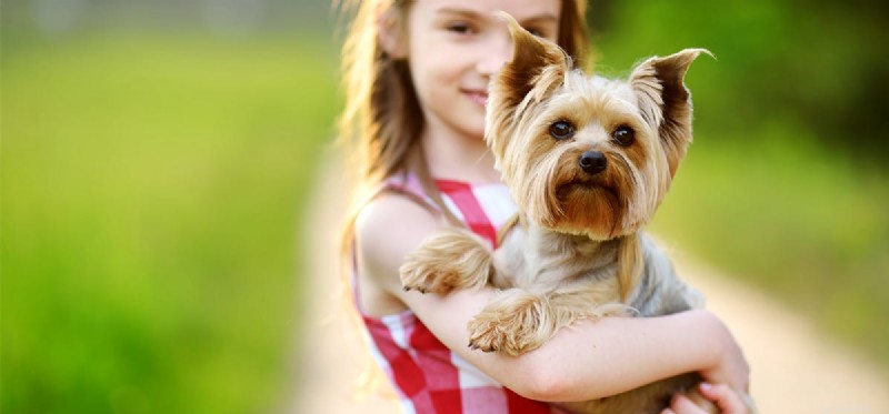How Dogs Can Alleviate OCD Symptoms