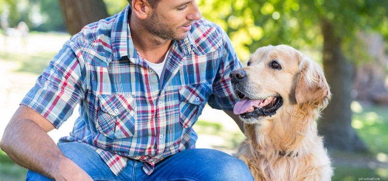 How Dogs Alleviate Panic Attacks: Trusted Insights