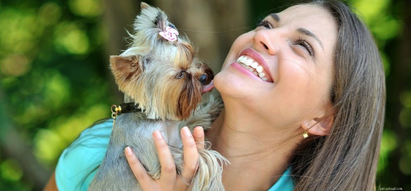 Do Dogs Really Extend Human Lifespan? Expert Insights