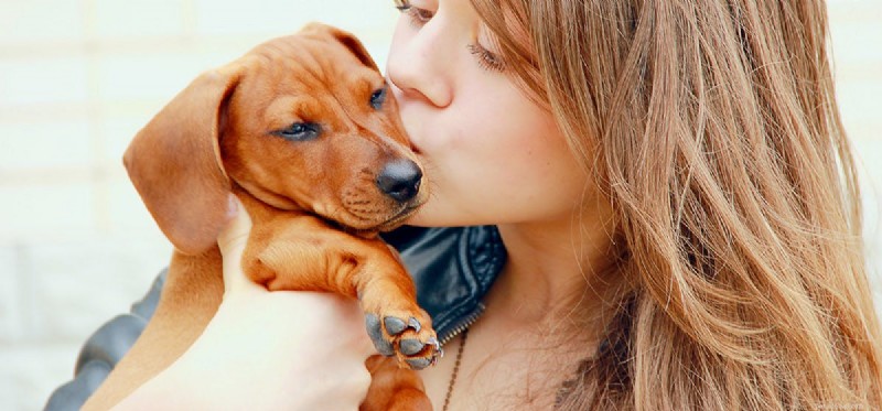 Do Dogs Really Extend Human Lifespan? Expert Insights