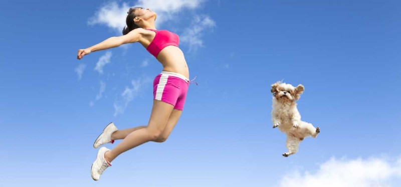 How a Dog Can Accelerate Your Weight Loss Journey