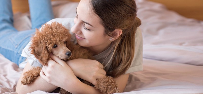 How Dogs Can Improve Your Sleep Quality