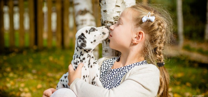 Do Dogs Actually Kiss? Decoding Licking as a Love Language