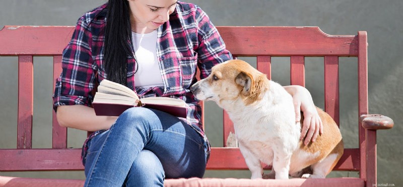 Can Dogs Read? Proven Training Strategies and Success Stories