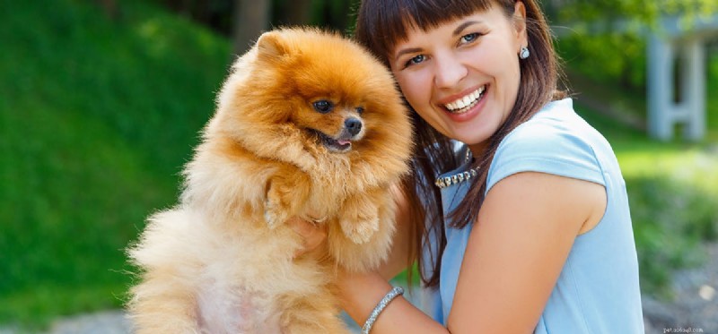 Do Dogs Realize When You re Laughing at Them?