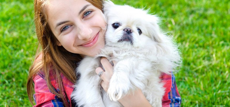 Do Dogs Realize When You re Laughing at Them?