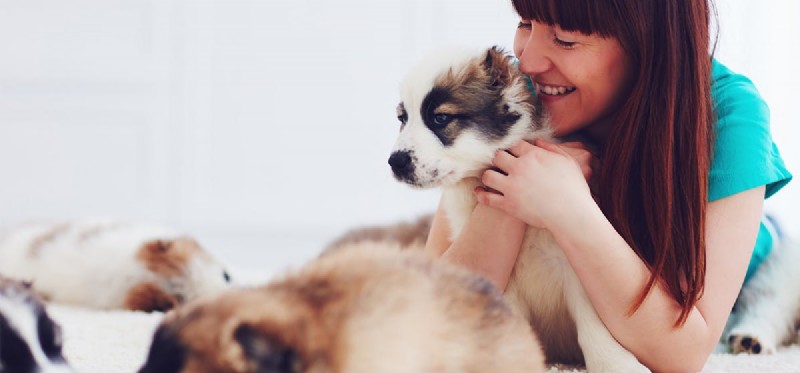 Do Dogs Realize When You re Laughing at Them?