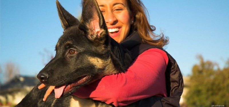 Do Dogs Realize When You re Laughing at Them?