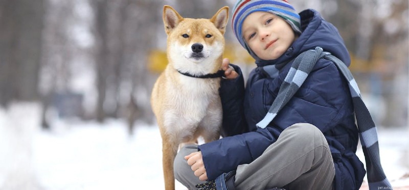 Teaching Your Dog Sign Language: A Step-by-Step Guide
