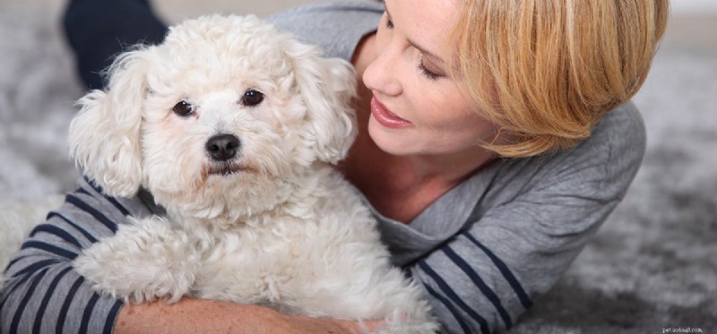 Can Dogs Really Speak? Decoding Canine Communication
