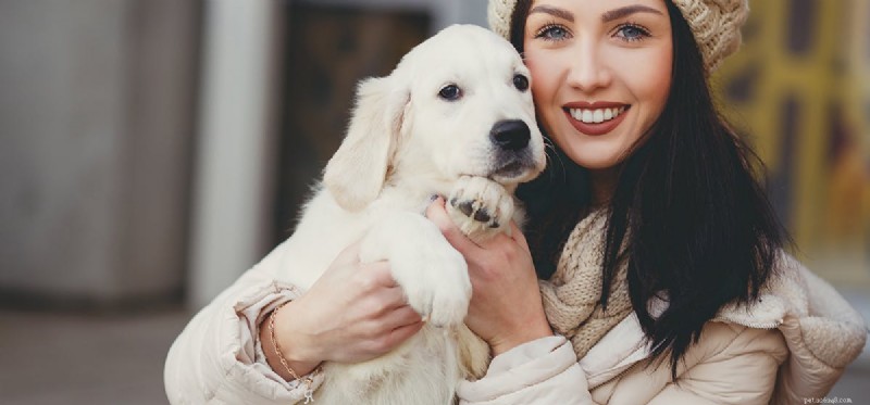 How Long Can Dogs Really Live? Exploring Lifespan Myths & Facts