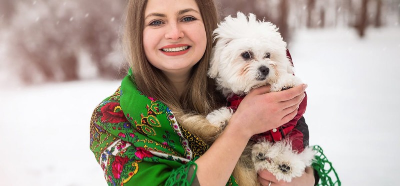 Can Dogs Thrive in Cold Weather? Tips for Safe Winter Care