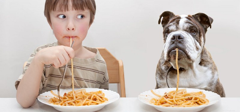 Can Human Food Extend Your Dog’s Life? A Veterinary Perspective