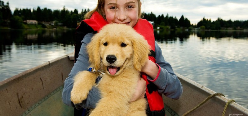 Can Dogs Thrive on a Sailboat? Expert Tips for Pet-Friendly Sailing