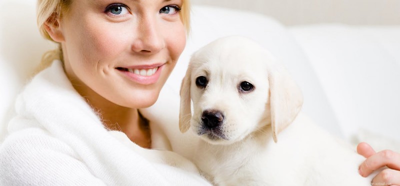Living with Congestive Heart Failure in Dogs: What Owners Need to Know