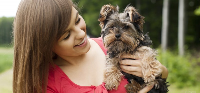 Managing Giardia in Dogs: Symptoms, Treatment, and Prevention