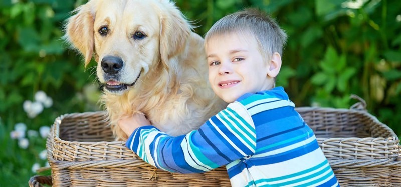 Can Dogs Truly Read Your Mind? Exploring the Science Behind Canine Intuition