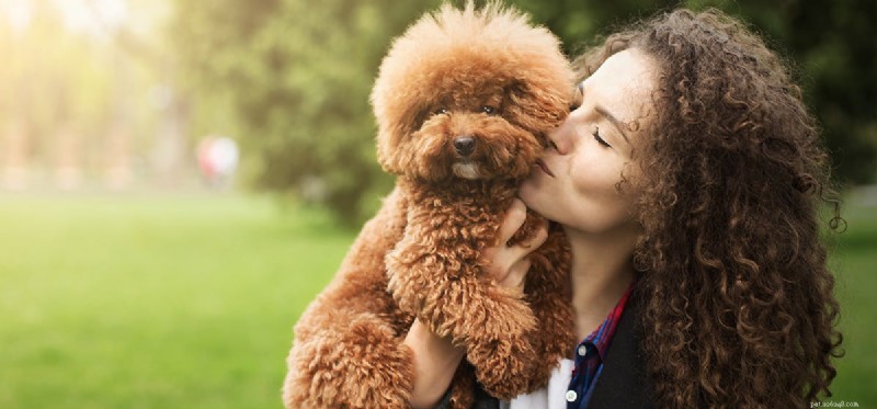 Can Dogs Truly Read Your Mind? Exploring the Science Behind Canine Intuition