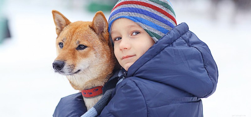 Can Dogs Truly Read Your Mind? Exploring the Science Behind Canine Intuition