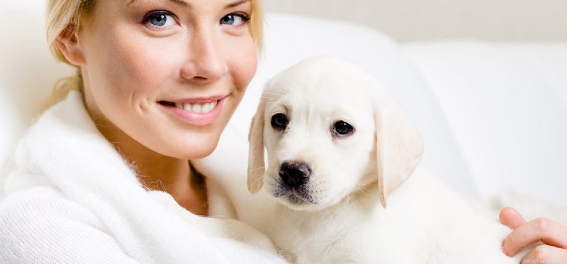 How Well Do Dogs Read Human Emotions?