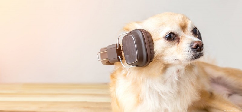 Do Dogs Truly Hear Music? A Scientific Review