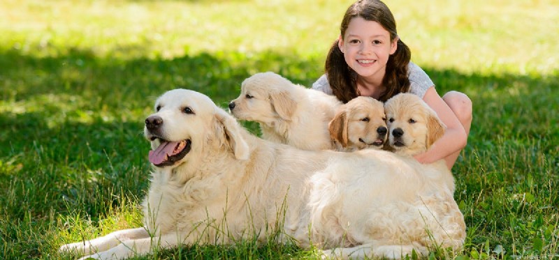 Can Dogs Remember Their Mother? Expert Insights