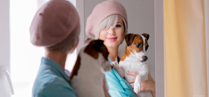 Do Dogs Truly Recognize Their Own Reflection? Insights from Research