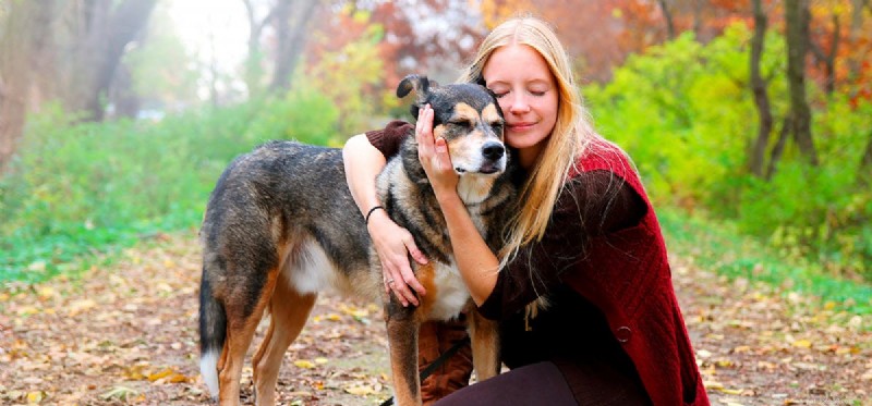 Do Dogs Truly Remember Their Former Owners? Insights & Science