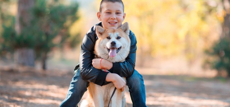 Do Dogs Truly Remember Their Former Owners? Insights & Science