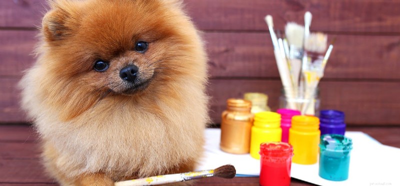 Do Dogs Truly See Colors? Unveiling the Truth About Canine Vision