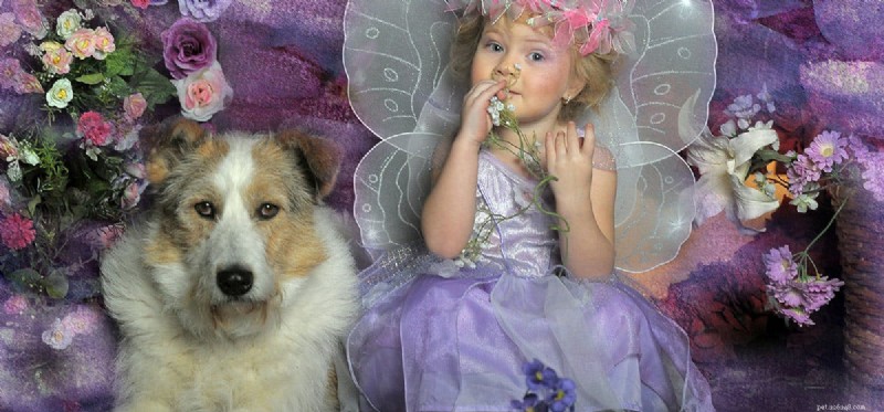 Do Dogs Detect Fairies? Separating Fact from Fantasy