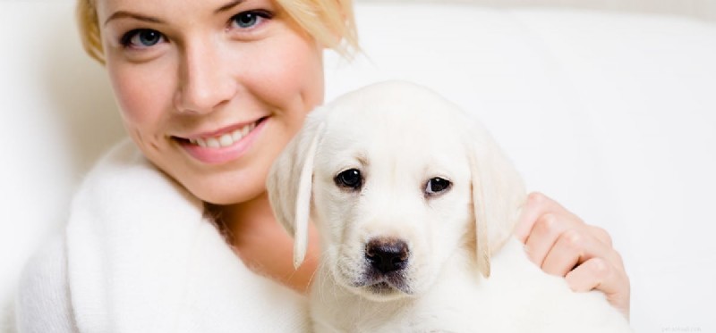 Do Dogs Actually See Our Teeth? Insights Into Canine Vision