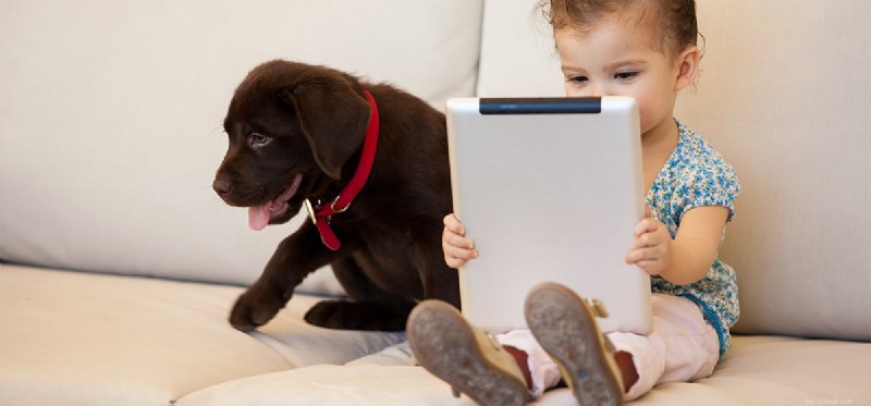 Do Dogs See Infrared? Unveiling the Science of Canine Vision