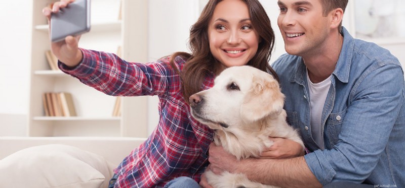 Do Dogs See Infrared? Unveiling the Science of Canine Vision