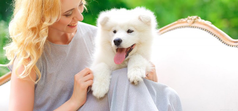 Can Dogs Detect Good People? Understanding Their Intuitive Insight