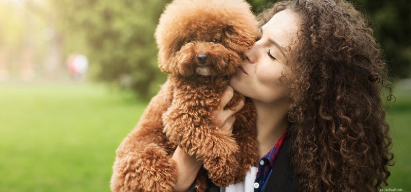 Can Dogs Detect Good People? Understanding Their Intuitive Insight